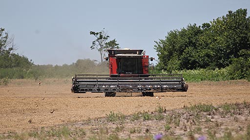 Simplificación en trámites para el agro